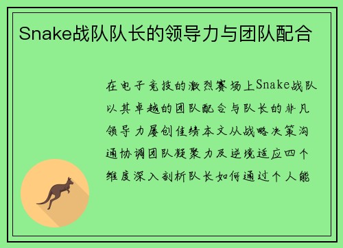 Snake战队队长的领导力与团队配合